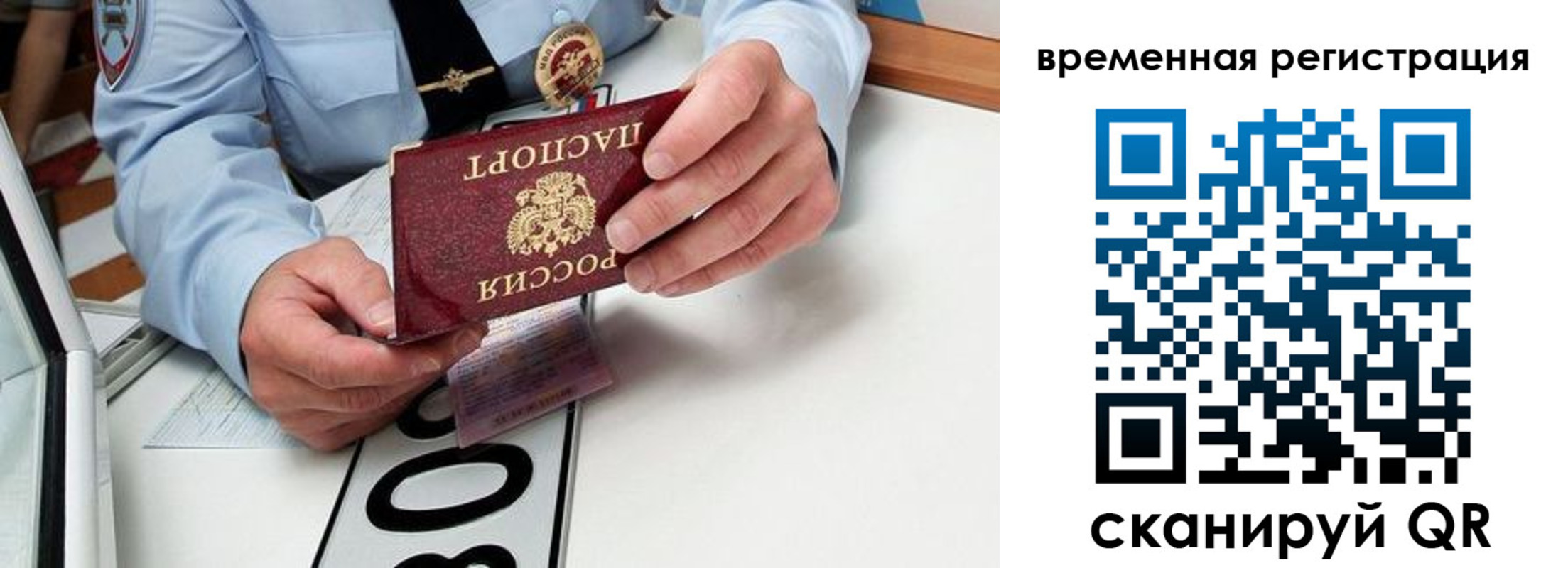 прописка гарантия в Фролово